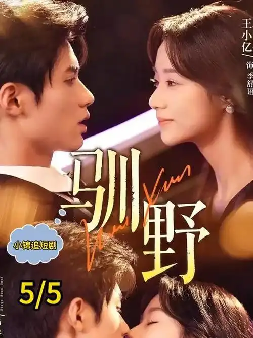 青柠影院 白塔旧事 剧集海报